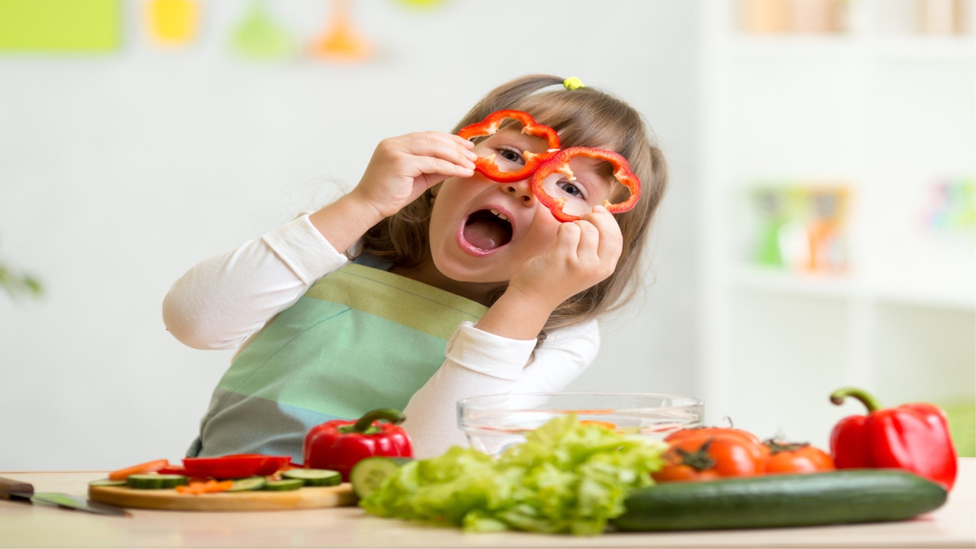 Blended diet webinars