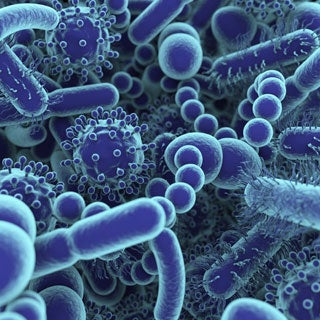 Microbiomes and Dysbiosis