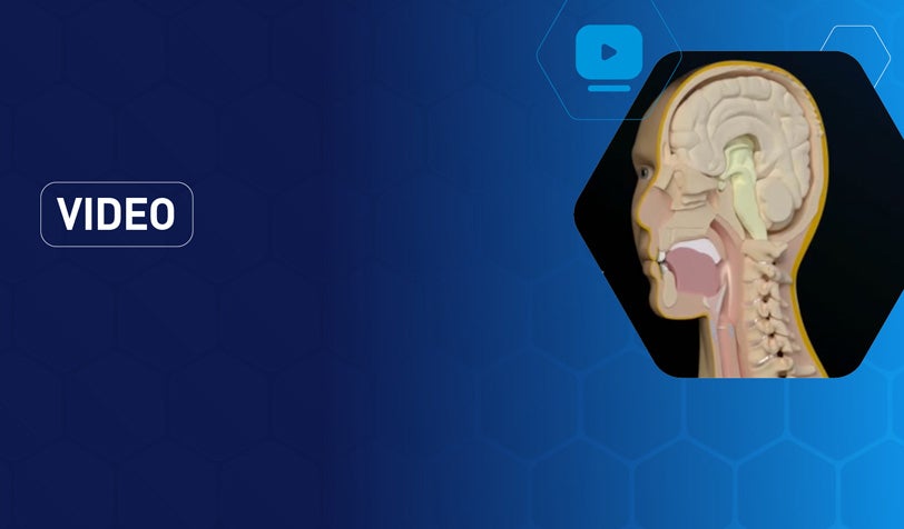 Normal Swallowing Process