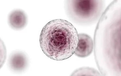 Image Of Stem Cells On White Background